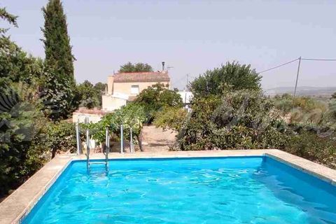 Landejendom i Yecla, Murcia, Yecla - € 180.000 | Ref: SF0495 - foto 32